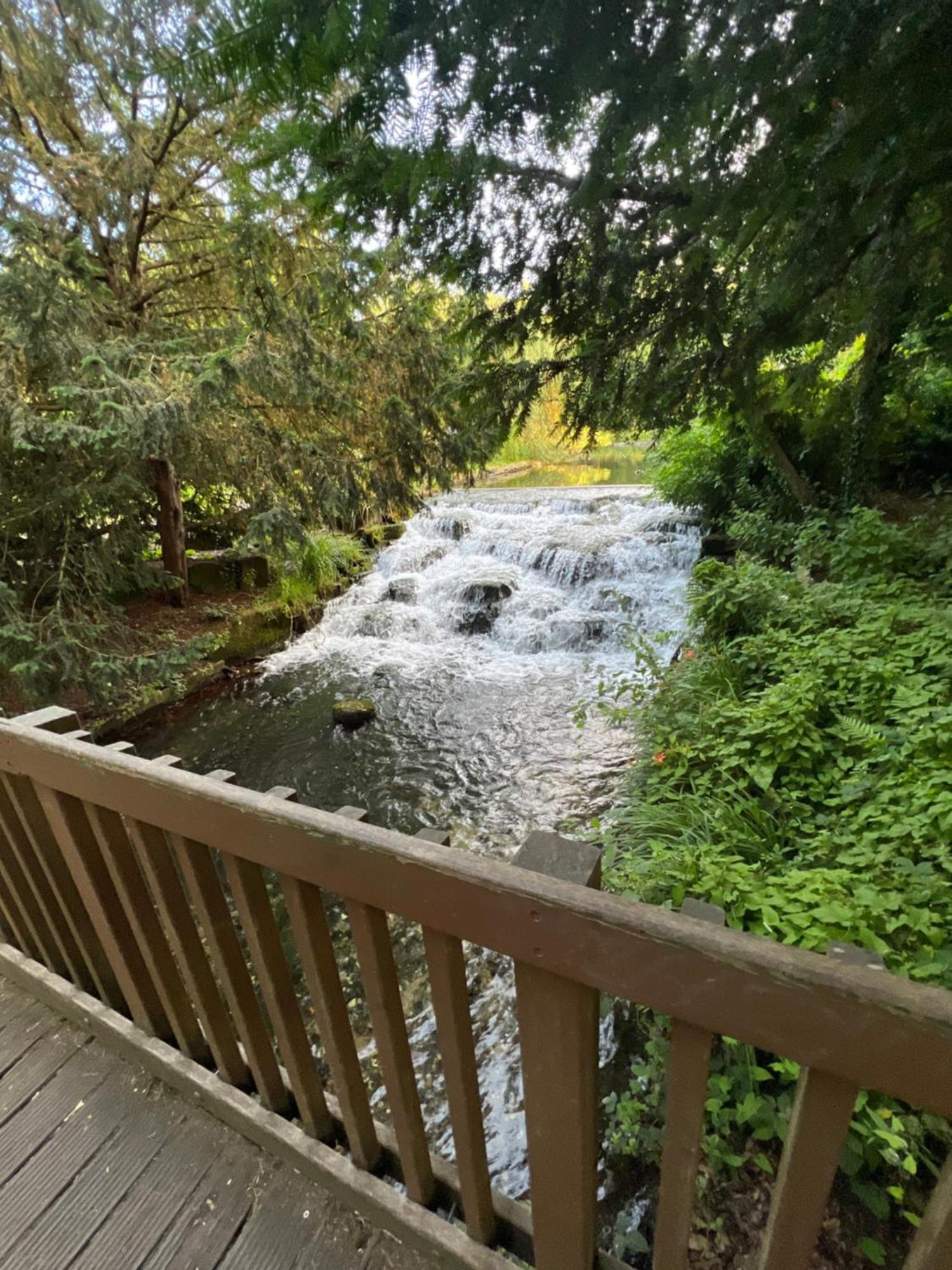 Cosy Private Flat In London, Free Parking On Premise Apartment Carshalton Bagian luar foto